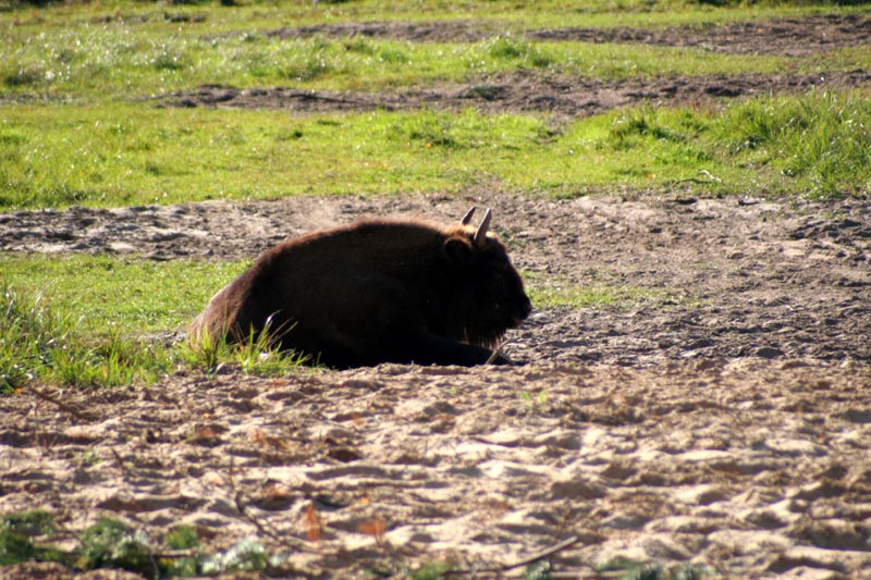 Killikus&reg; Fotographie